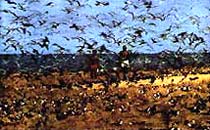 Mondo cane (1962)